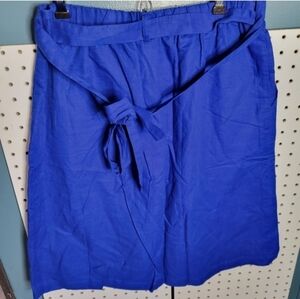 J. Crew Factory Vibrant Blue Skirt